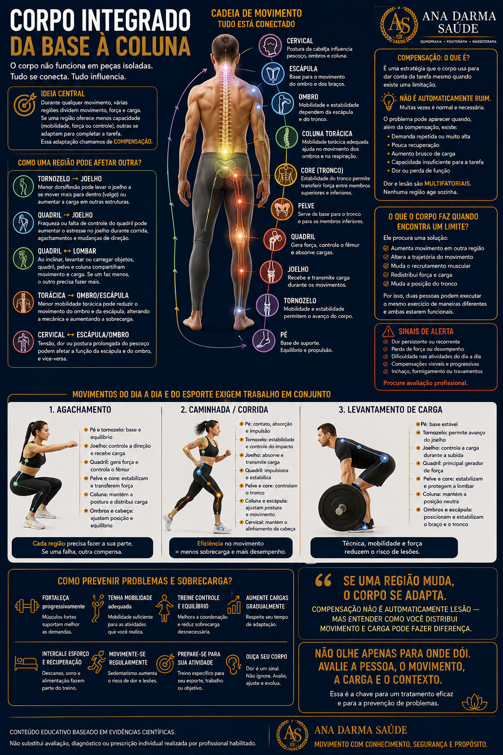 Infográfico Corpo integrado, da base à coluna